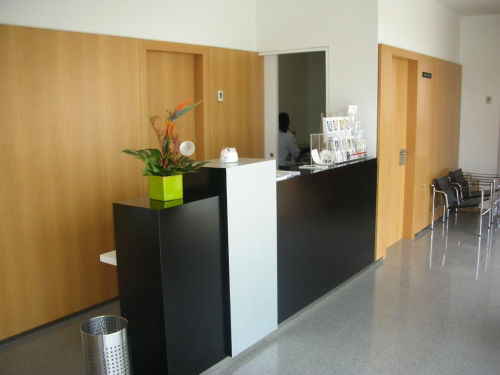 Recepci�n Instituto Bernabeu Elche